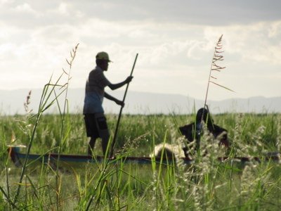 Route - Bali & Sulawesi, 23 dagen - Day 17