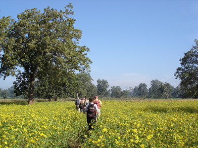 Route Orissa, 23 dagen - Dag 19