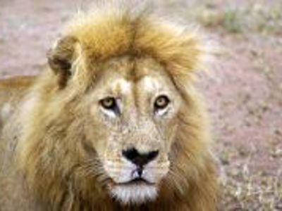 Route Kenia, 16 dagen - Day 11