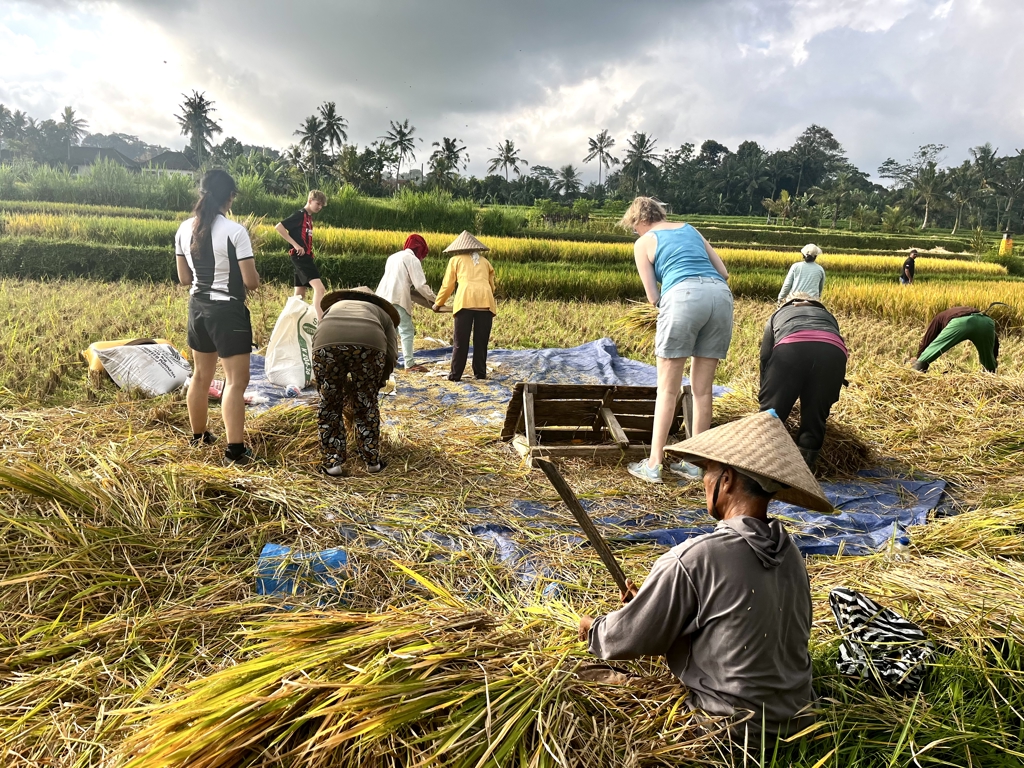 ISF_Bali cycling tour.jpg