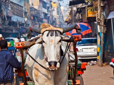 Route Noord-India Compleet, 23 dagen 2024 - Day 2