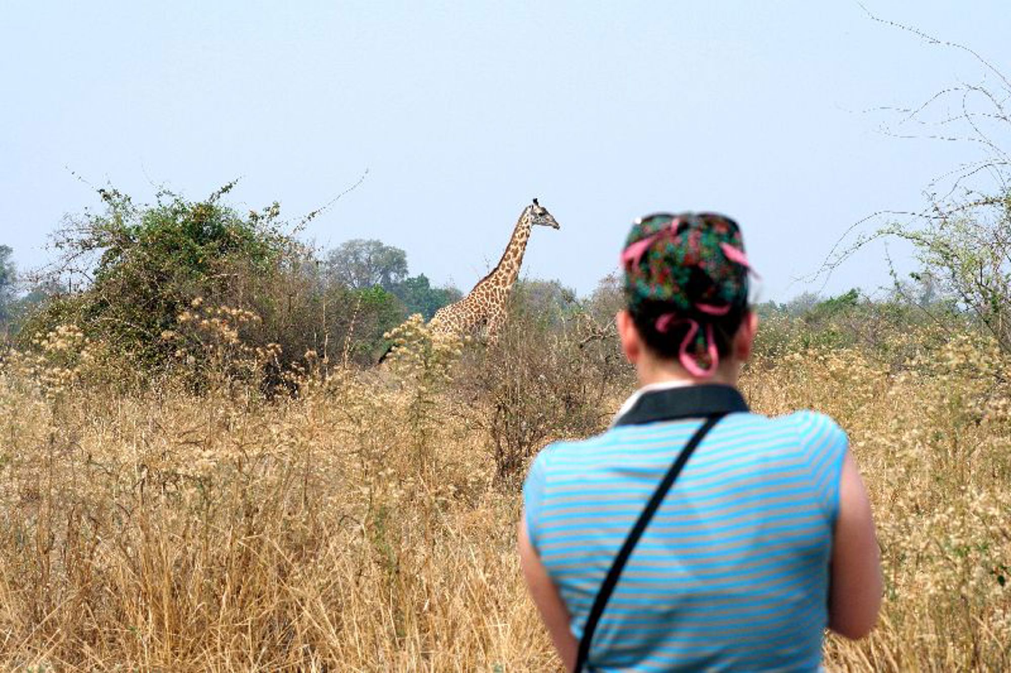 Groepsrondreis Zambia, Malawi en Tanzania