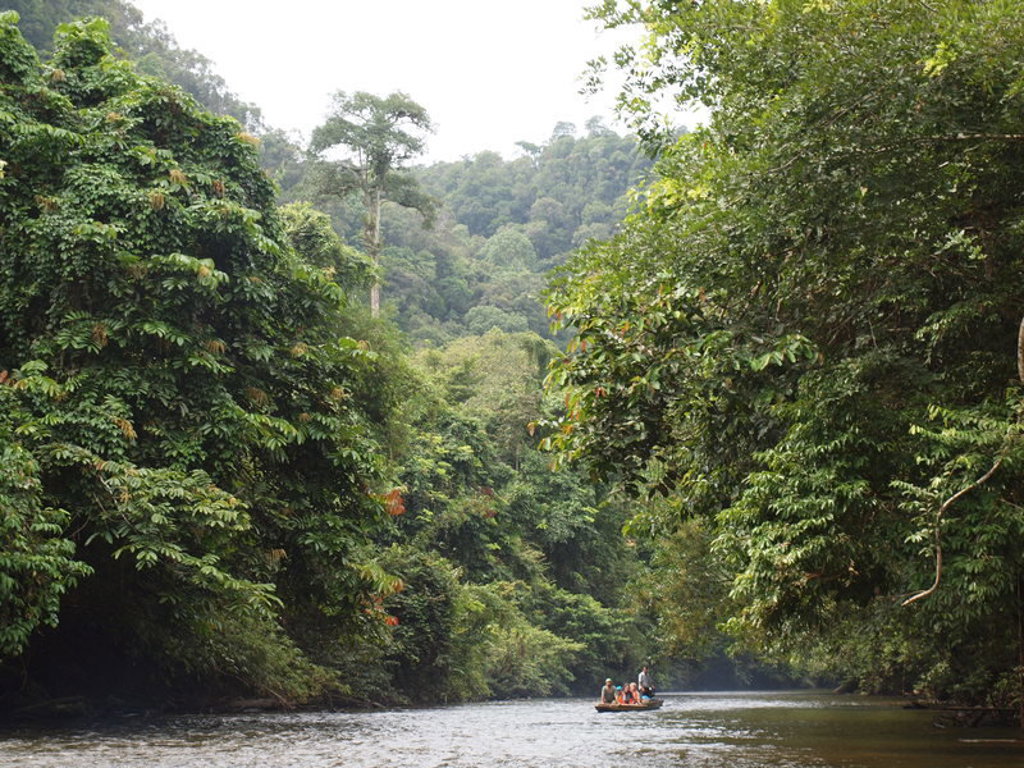 main_Maleisisch_Borneo_Lisette_Thamm__156_.jfif