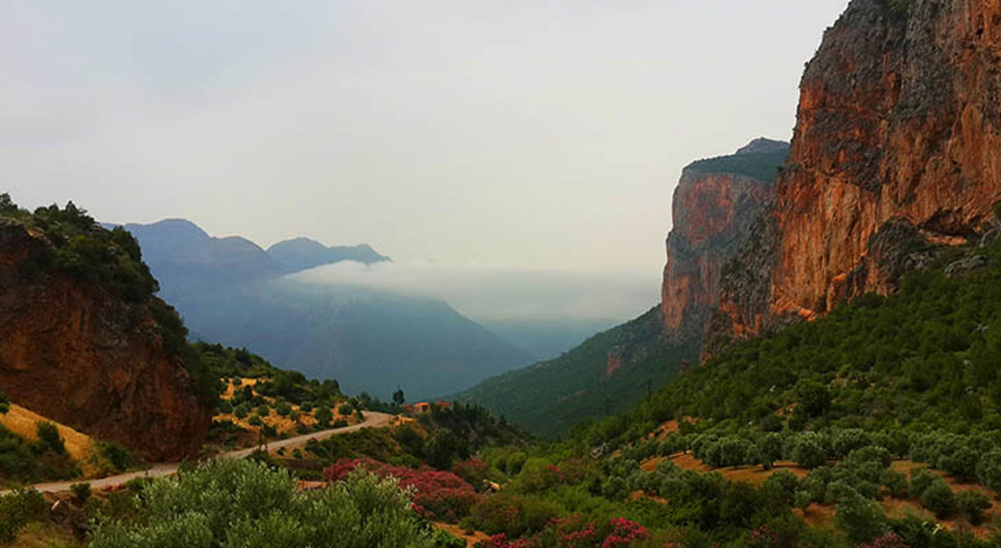 Rifgebergte Rifgebergte