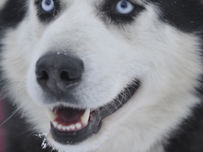 route Rusland, 13-daagse reis - Dag 6