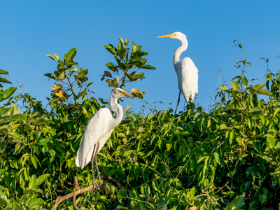 Route Guatemala, 21 dagen - Day 11