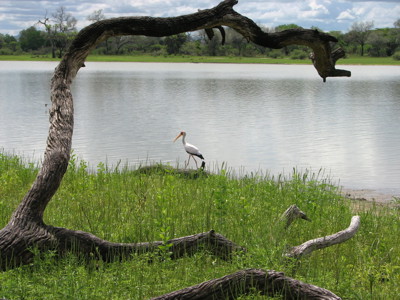 Route Zambia, Malawi en Tanzania, 24 dagen - Dag 18