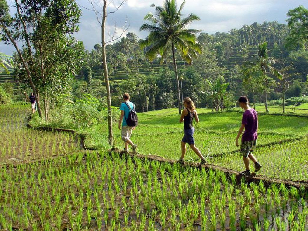 Familiereis Kleine Sunda Eilanden Indonesië
