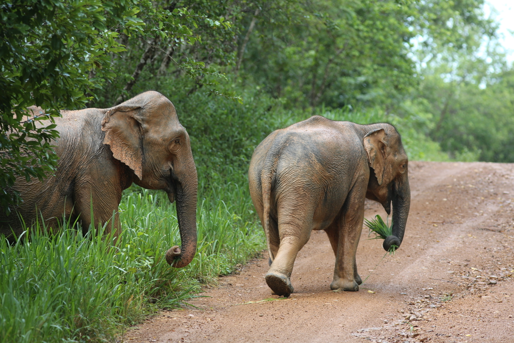 Rondreis Thailand Kui Buri