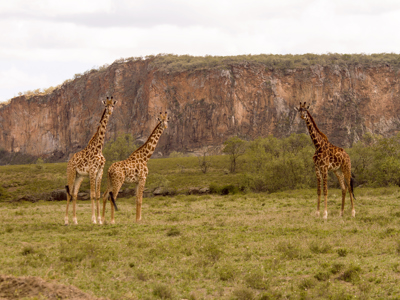 Oost-Afrika familiereis - Dag 3