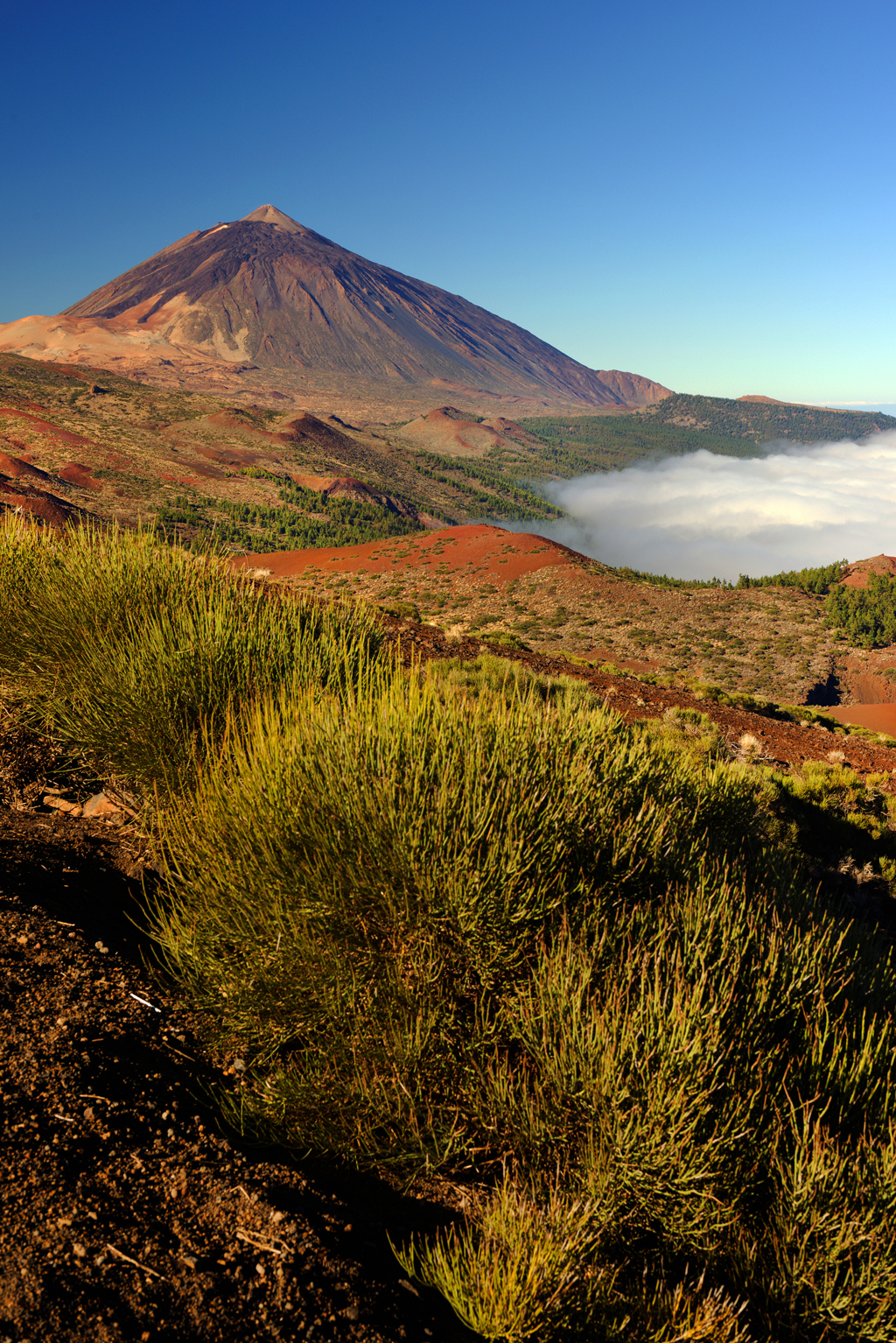 Tenerife Teide NP