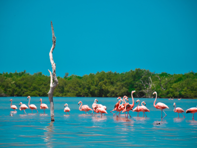 Route Mexico, 21 dagen - Dag 15