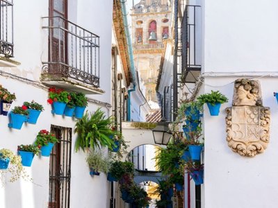 Route 12 daagse Groepsrondreis Andalusië 22-35 - Day 10