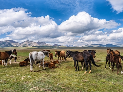 Route Zijderoute - Dag 16