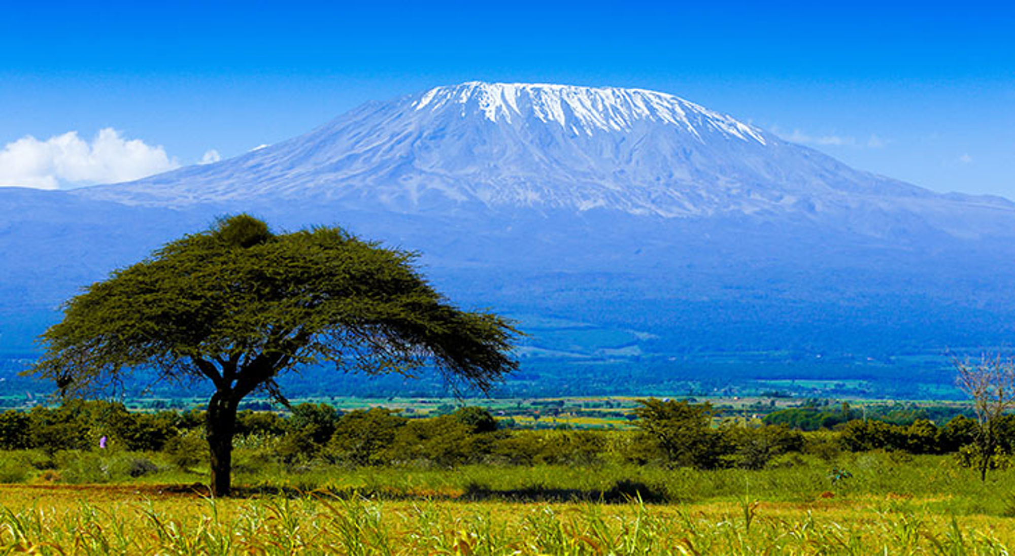 Kilimanjaro Kilimanjaro