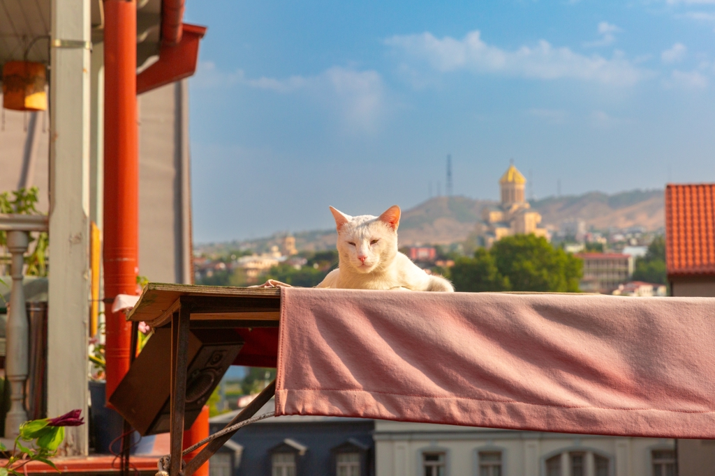 gef shutterstock (3).jpg