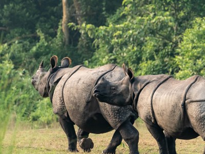 Route India en Nepal, 20 dagen - Day 12