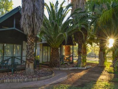 Desert Palms Alice Springs