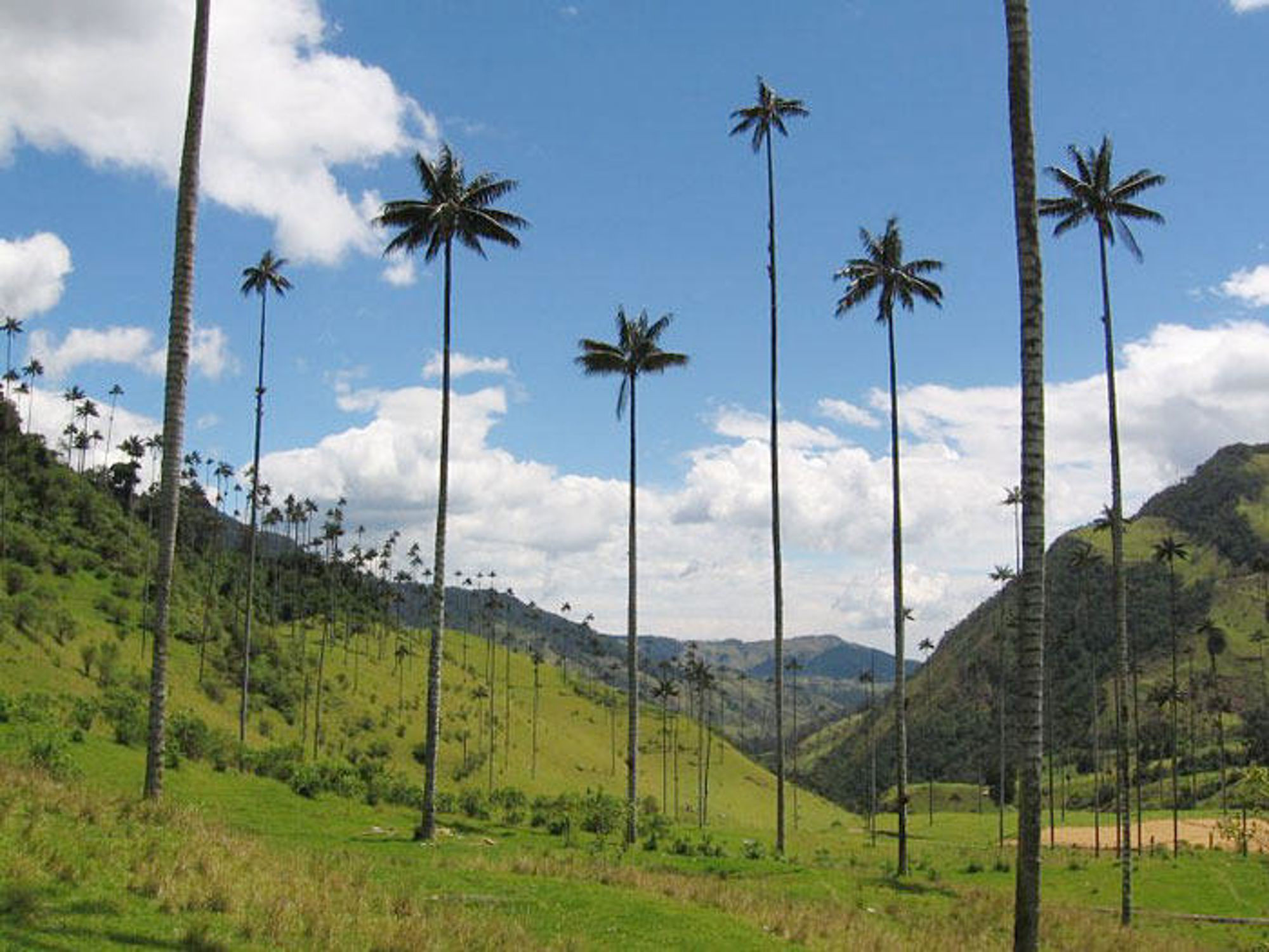 Groepsrondreis Colombia