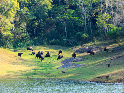 Route Zuid India, 23 dagen - Day 8