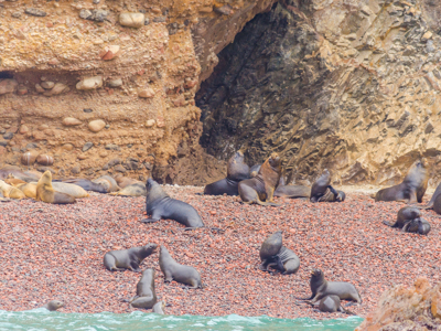 Route Peru, 22 dagen - Day 3