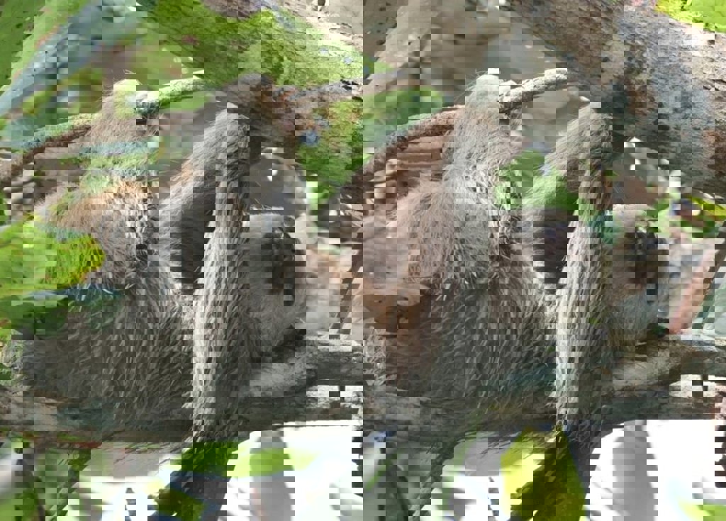 main_fbb819a3-a62d-478f-b254-e78b1b2e6bfb.jfif