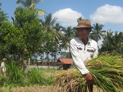 Route Java en Bali, 22 dagen - Day 15