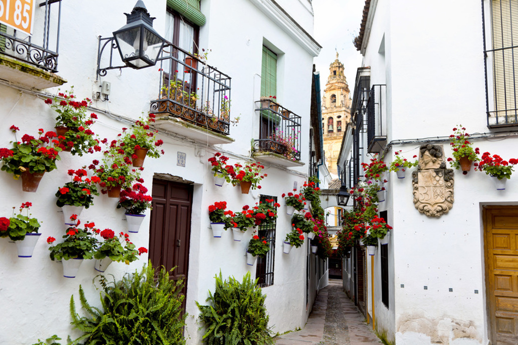main_Cordoba_Calleja_de_las_Flores__Andalusia__Spain.jpg