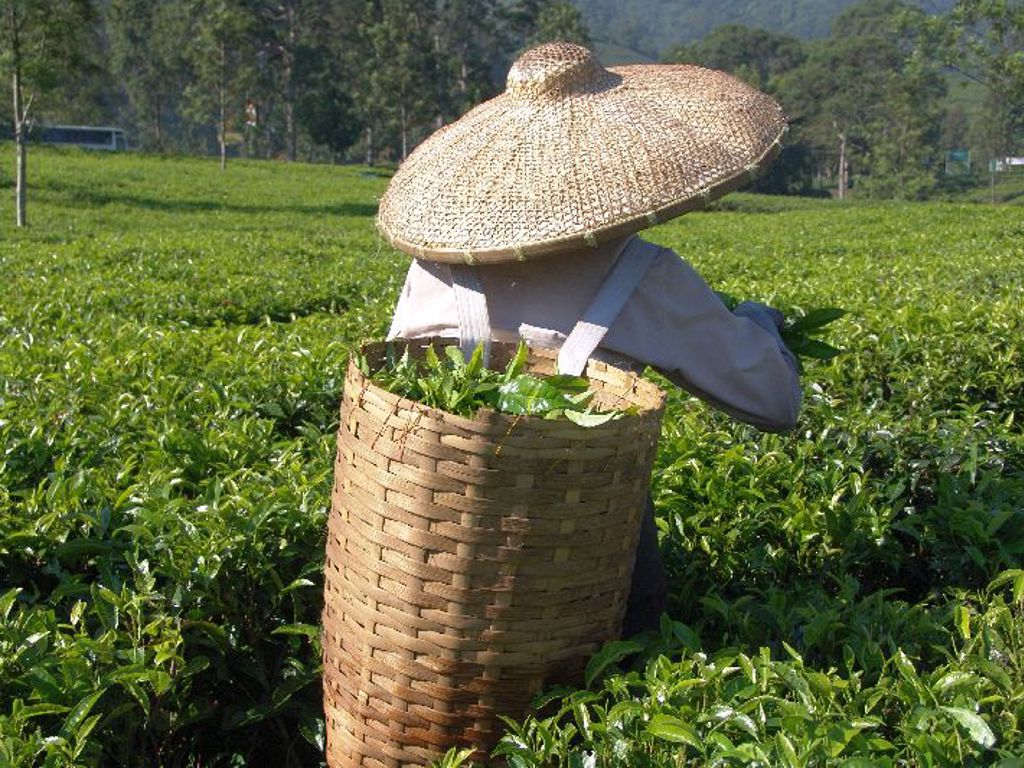 Tawangmangu Indonesië