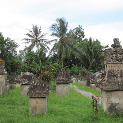 Excursie naar Minahasa en Tangkoko NP
