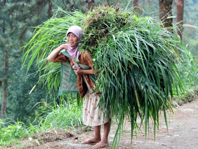 Route Java, Bali, Lombok & Gili Air, 22 dagen 2022 - Day 5