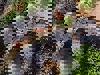 Hotel Bellevue Natitingou