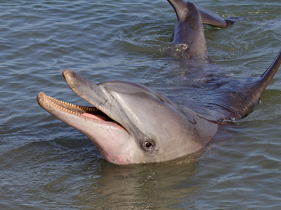 Route West Australië, 25 dagen - Day 6