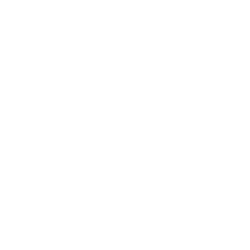 Responsible Travel: Organiseren duurzame activiteiten en reizen