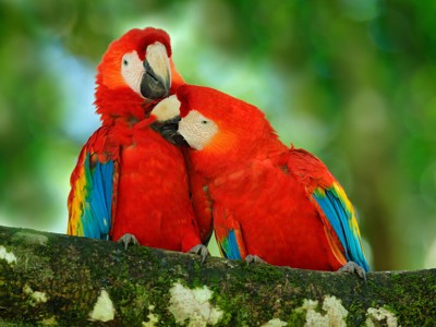 Route Costa Rica - Day 1