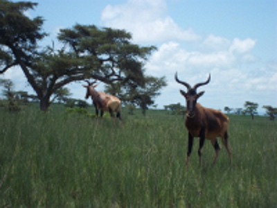 Standaard route Ethiopië, 29 dagen - Day 27