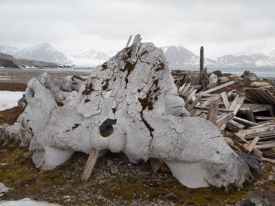 Zeilreis met de Antigua 2020 - Dag 14