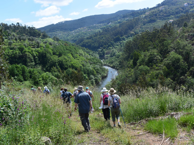 Route 8 daagse wandelvakantie Douro Vallei - Day 2