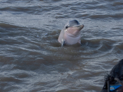 Route Suriname, 18 dagen - Dag 3