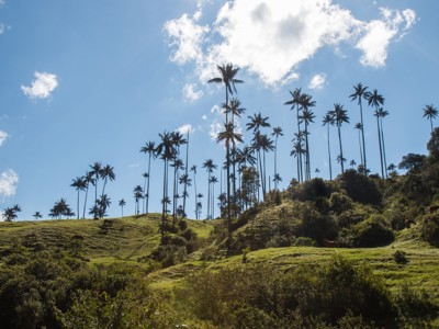 Route Colombia, 21 dagen (2019) - Day 12