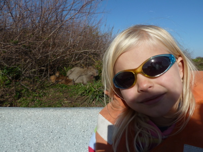 Route van Buenos Aires naar Rio - Day 10