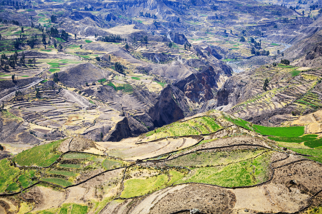 Colca Canyon Peru