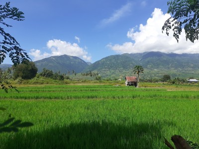 Route - Bali & Sulawesi, 23 dagen - Day 13