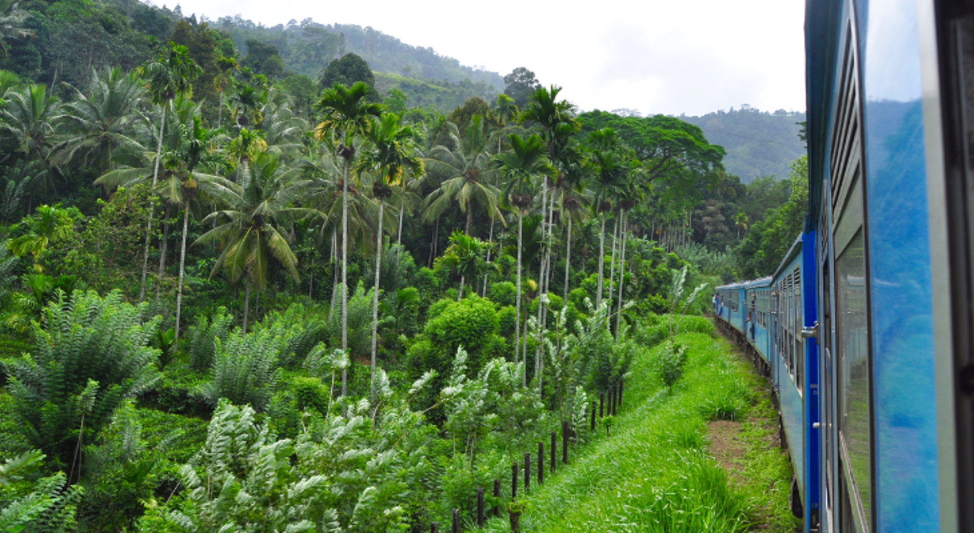 Treinreis door natuur Sri Lanka Treinreis door natuur Sri Lanka