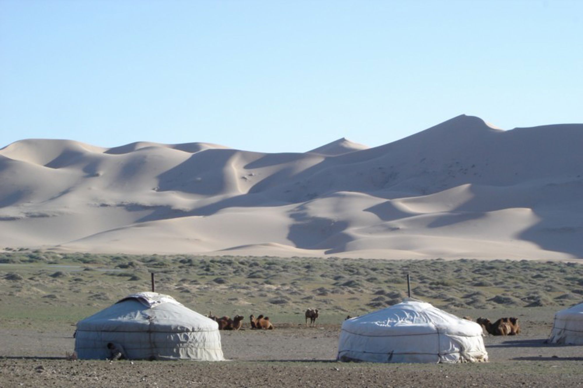 Groepsrondreis Mongolië