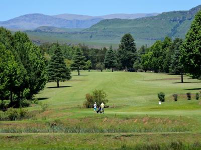 Gooderson Monks Cowl - golf