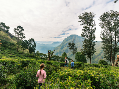 Route Sri Lanka reis, 20 dagen - Dag 5
