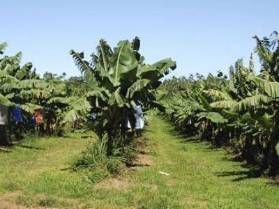 Route Kaapverdische eilanden - Day 1