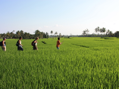 Route Java en Bali, 19 dagen - Day 17