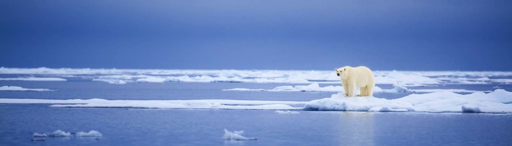 Van Spitsbergen, naar IJsland via Groenland en Jan Mayen